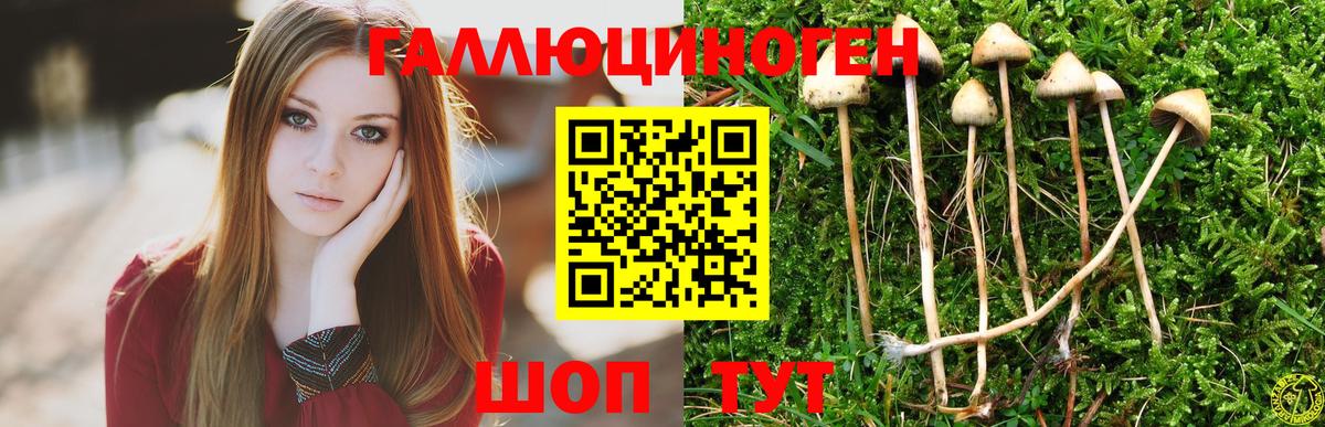 Псилоцибиновые грибы Magic Shrooms Семёнов