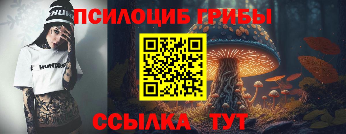 Семёнов  Галлюциногенные грибы мухоморы  Вход с VPN 